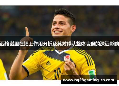 西格诺里在场上作用分析及其对球队整体表现的深远影响